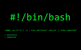 SEED-lab：Shellcode Development Lab